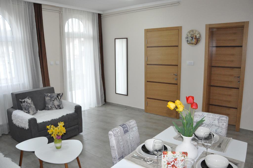Aria Apartmani Vrdnik Buitenkant foto