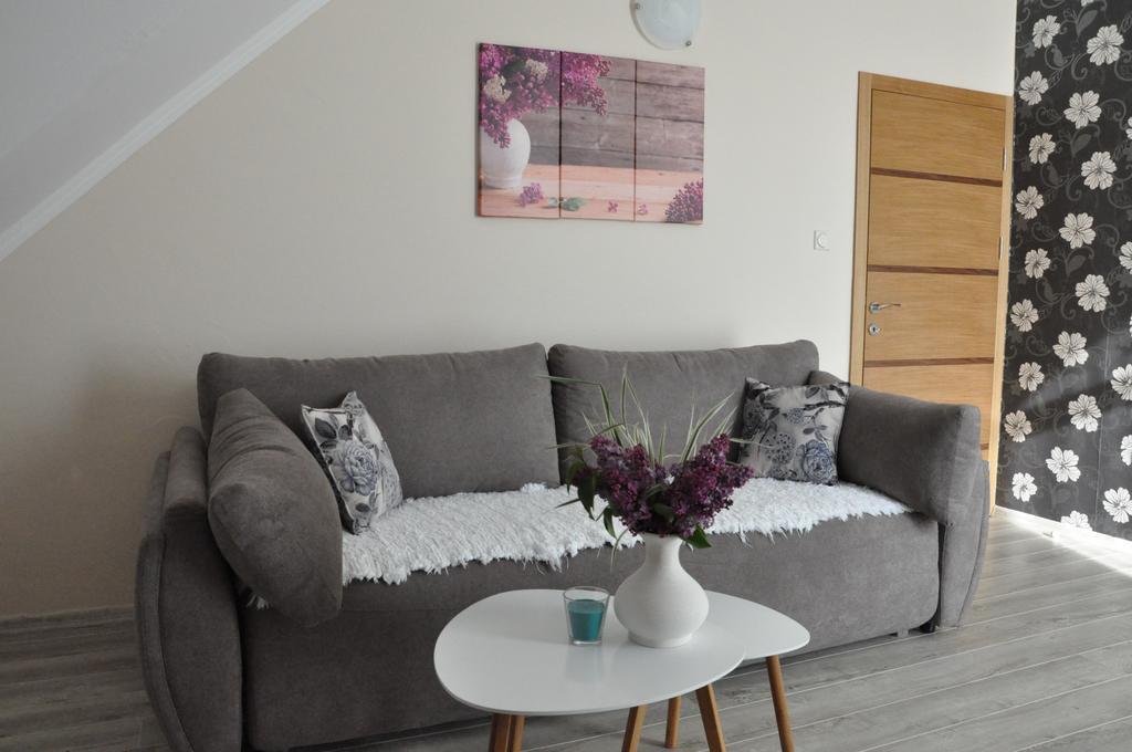 Aria Apartmani Vrdnik Buitenkant foto