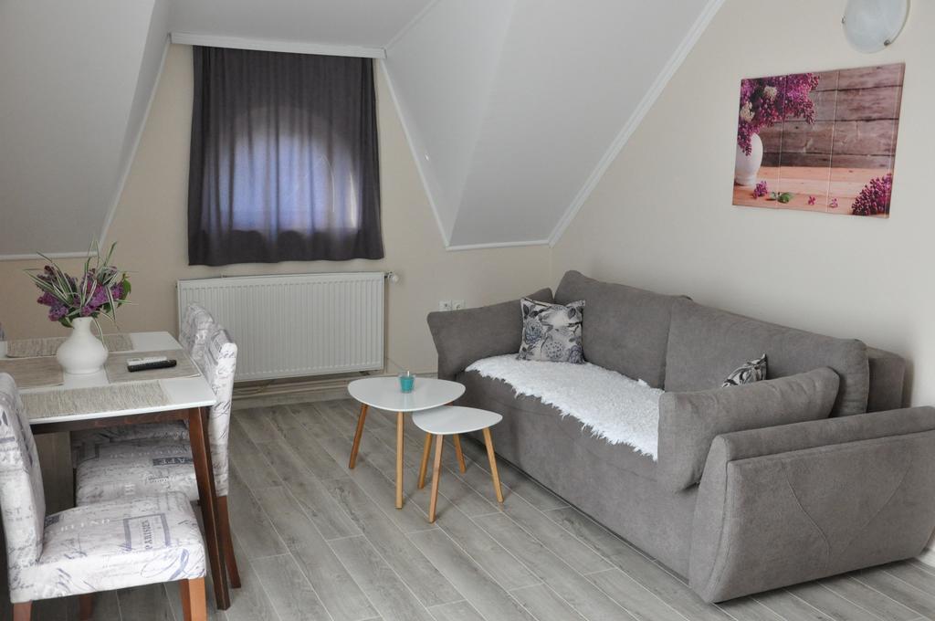 Aria Apartmani Vrdnik Buitenkant foto